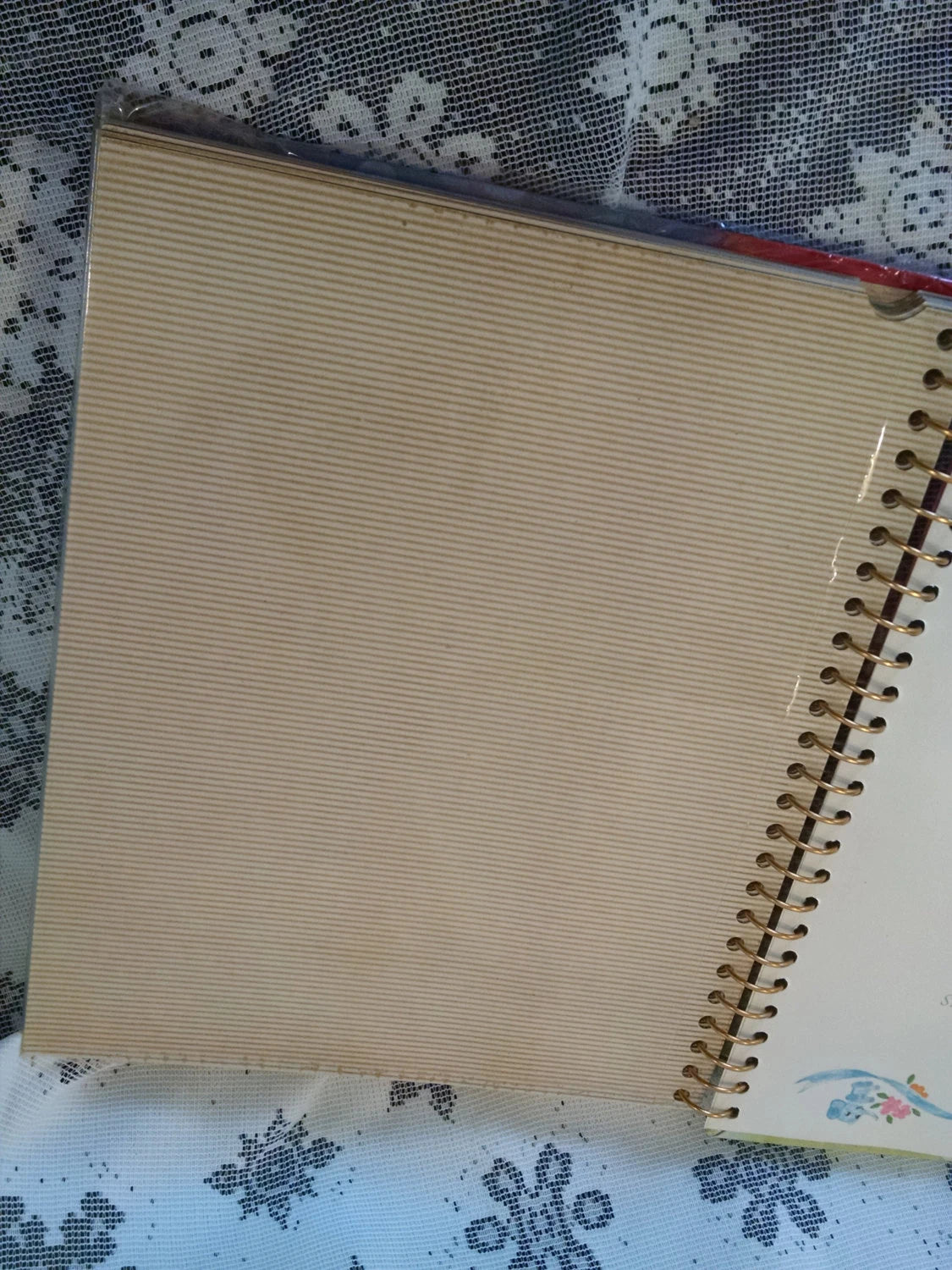 1960's Vintage Baby Photo Album and Baby Book