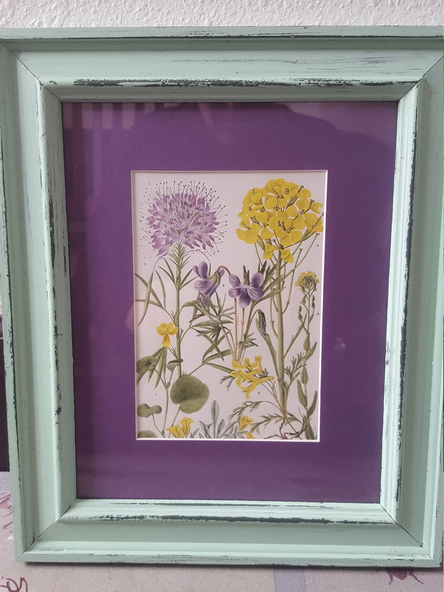 Wildflower Vintage Print Antique Light Green Frame