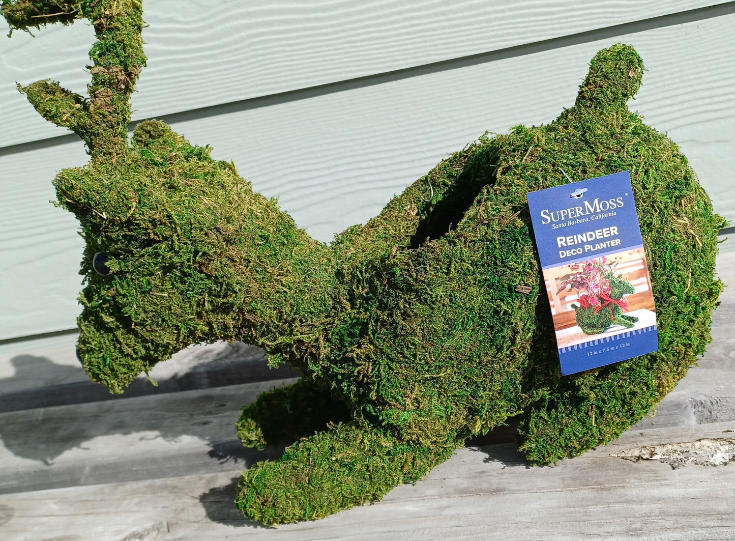 Reindeer Deco Planter made with Preserved Mountain Moss by Supermoss™