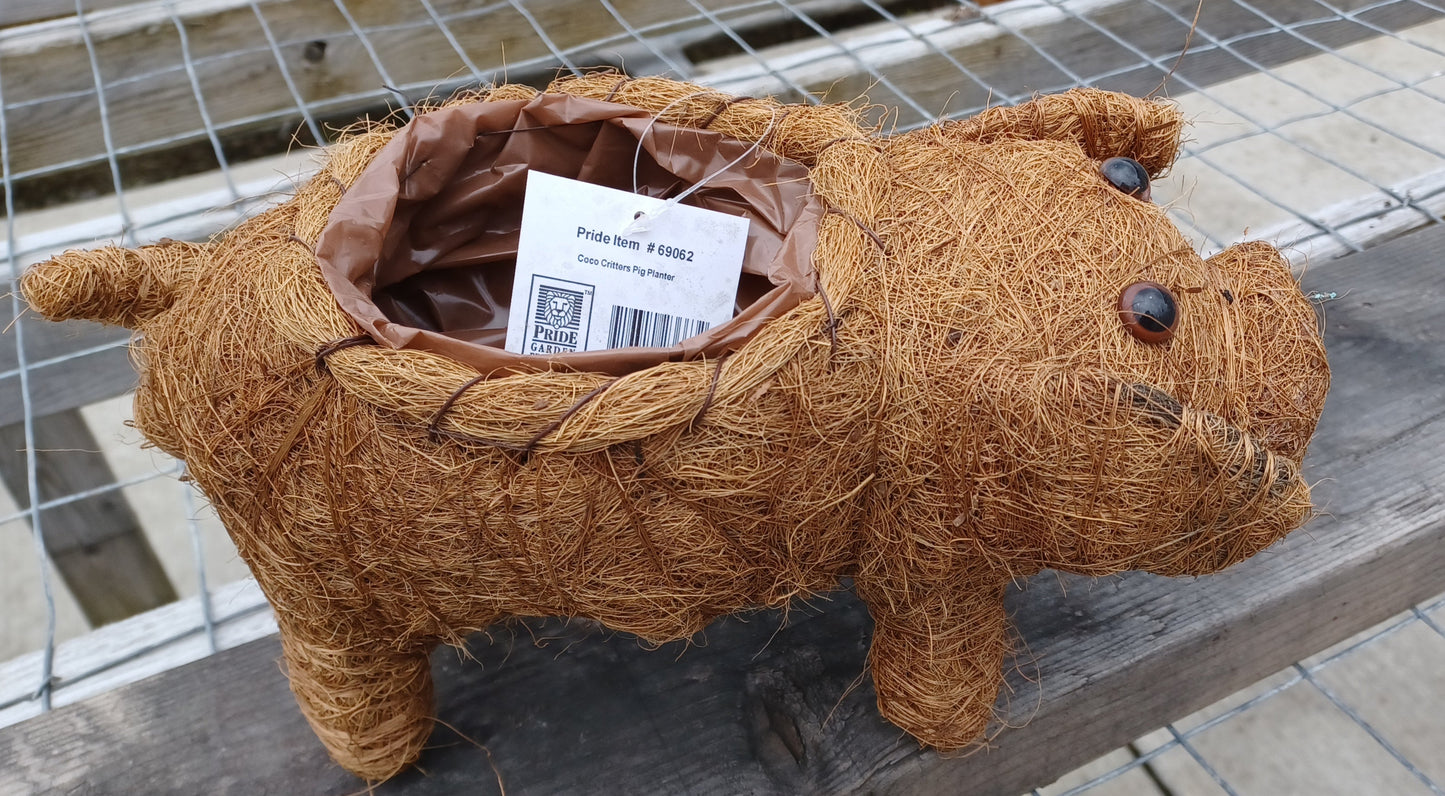 Coco Critter Pig Tabletop Planter made with Preserved Mountain Moss by Pride Garden Products™