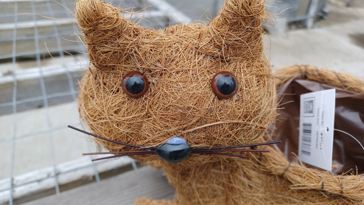 Coco Critter Cat Tabletop Planter made with Preserved Mountain Moss by Pride Garden Products™