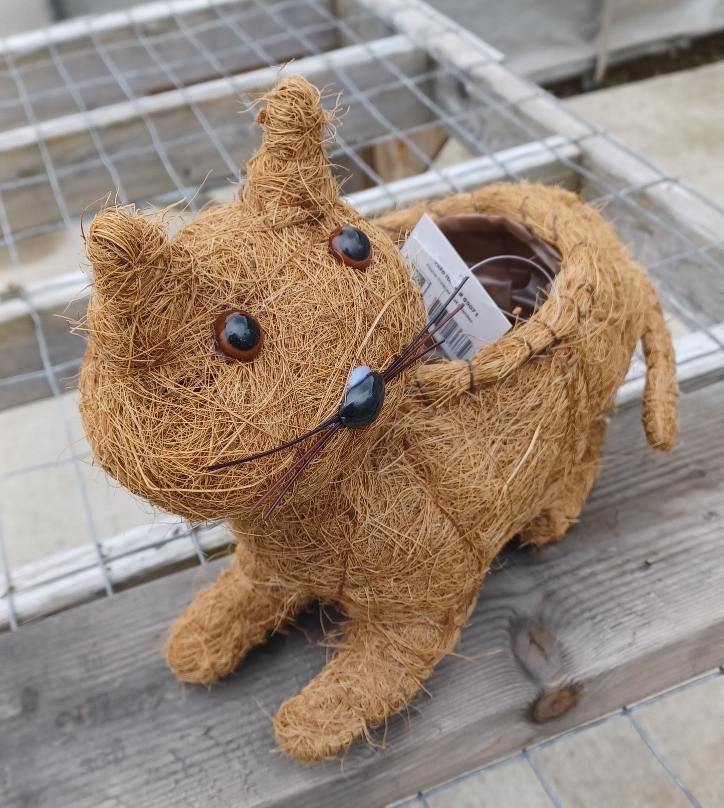 Coco Critter Cat Tabletop Planter made with Preserved Mountain Moss by Pride Garden Products™