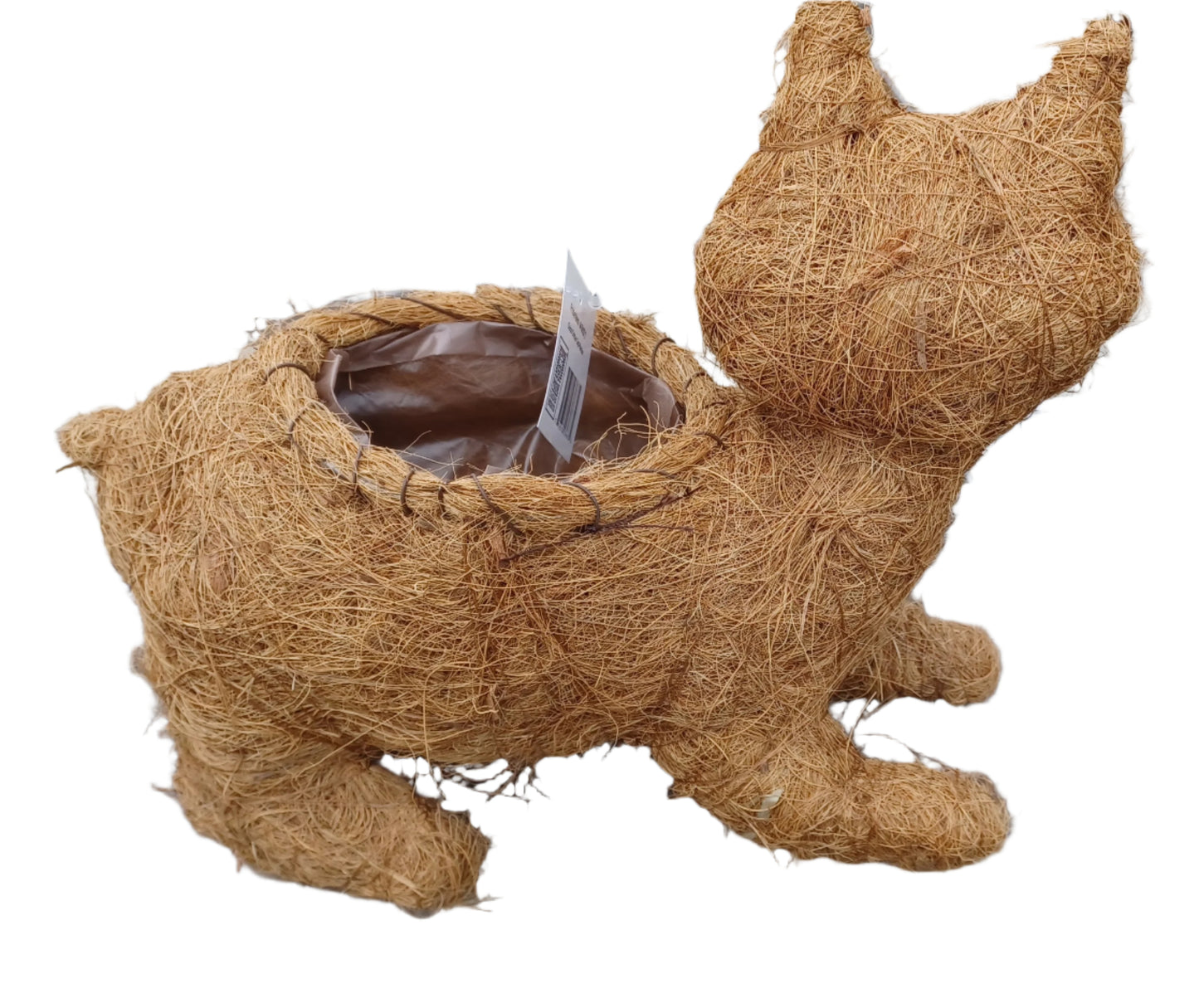 Coco Critter Cat Tabletop Planter made with Preserved Mountain Moss by Pride Garden Products™