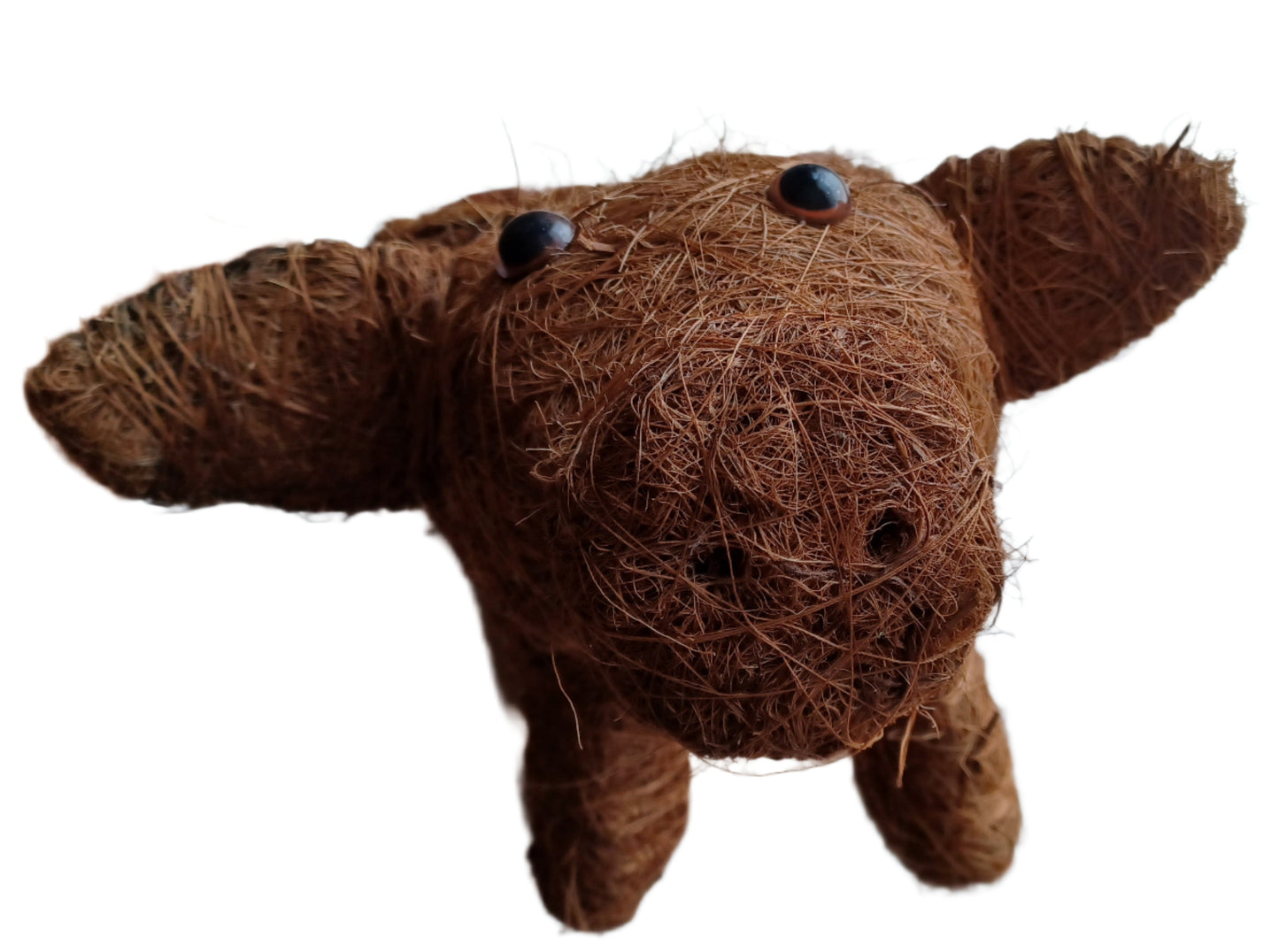 Coco Critter Pig Tabletop Planter made with Preserved Mountain Moss by Pride Garden Products™