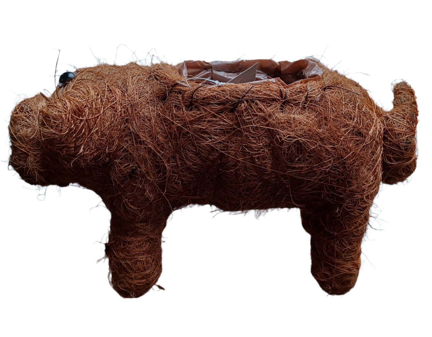 Coco Critter Pig Tabletop Planter made with Preserved Mountain Moss by Pride Garden Products™