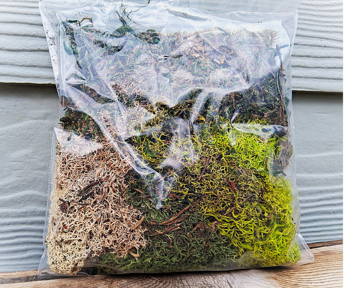 Moss Frame Kit from Bella Moss - 12" wood frame and preserved moss for living wall art - Syndicate Home and Garden