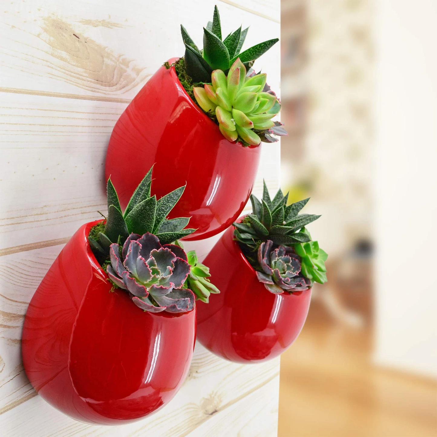 Red Large Round Wall Planter - Vertical Gardening by Arcadia 5.2" tall