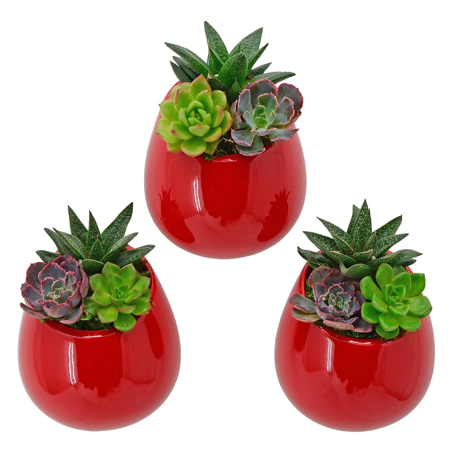 Red Large Round Wall Planter - Vertical Gardening by Arcadia 5.2" tall
