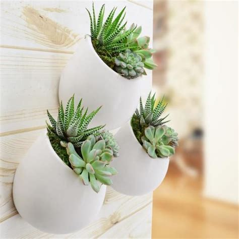 White Large Round Wall Planter - Vertical Gardening by Arcadia 5.2" tall