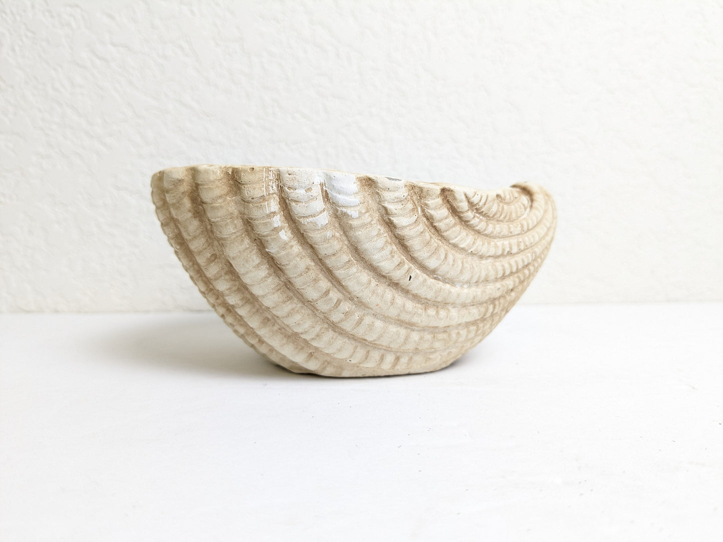 Small Seashell Cement Planter for Nautical and Boho Indoor Decorating