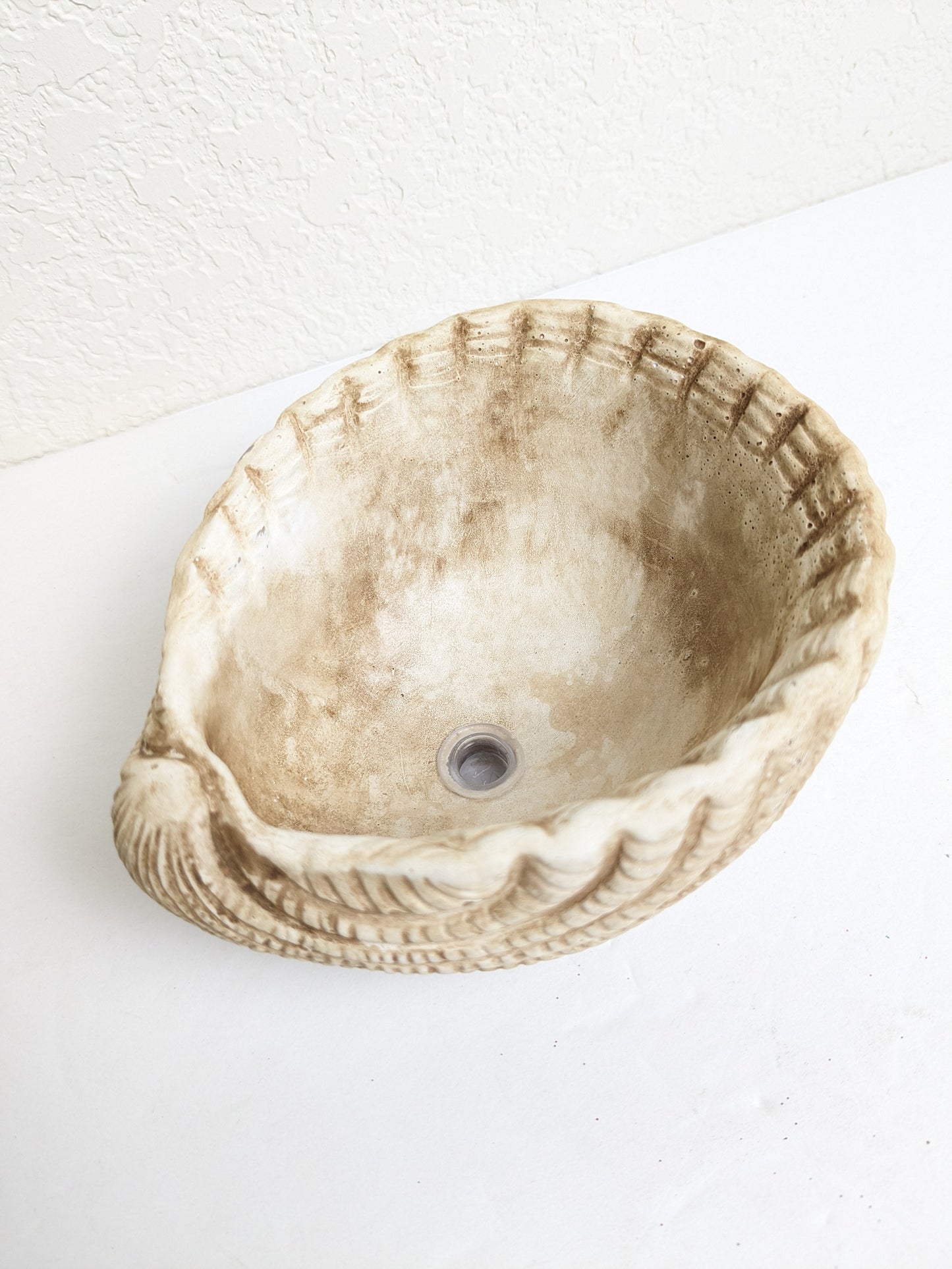 Small Seashell Cement Planter for Nautical and Boho Indoor Decorating