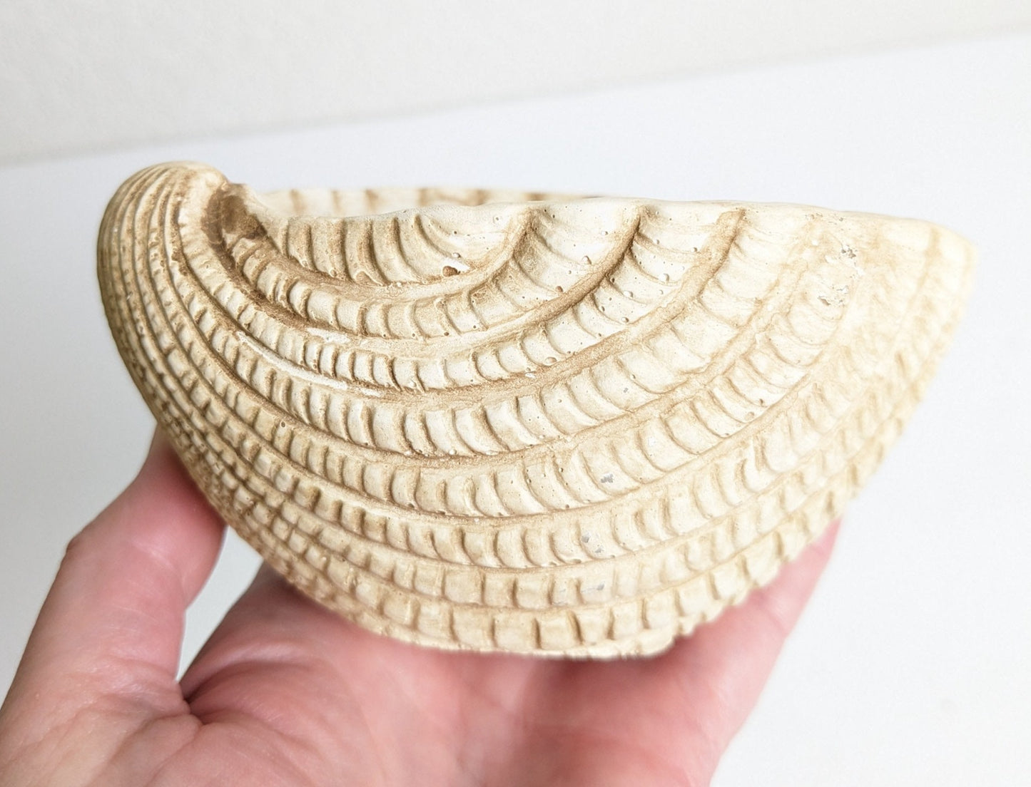 Small Seashell Cement Planter for Nautical and Boho Indoor Decorating