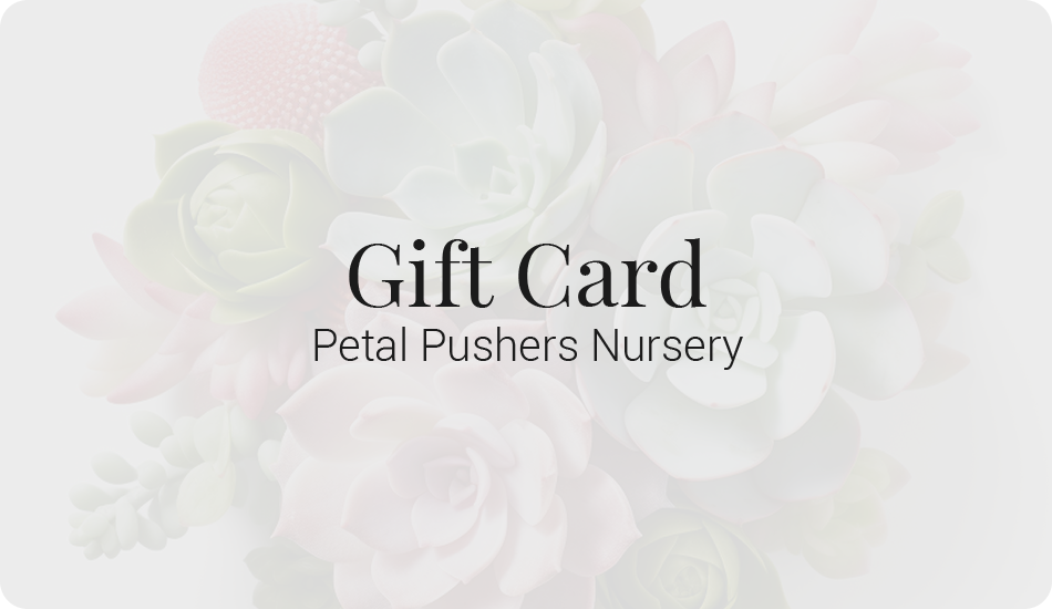 Petal Pushers Nursery Gift Card
