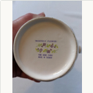 September Aster Flower Mug