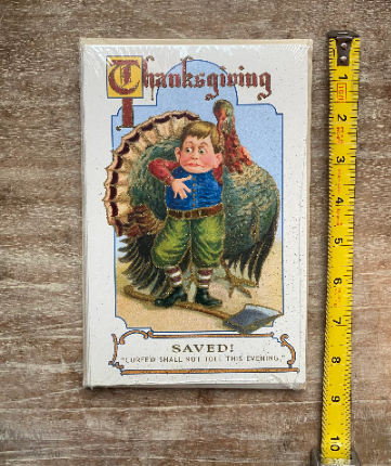 Thanksgiving Saved Turkey Old World Christmas Card