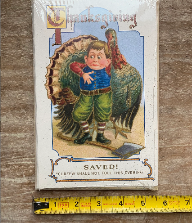Thanksgiving Saved Turkey Old World Christmas Card