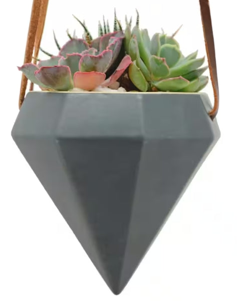 Diamond Shaped Ceramic Hanging Planter - Dark Gray- by Arcadia Gardening Products 4.5" tall