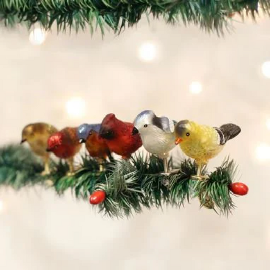 Assorted Mini Song Birds Old World Christmas Ornament