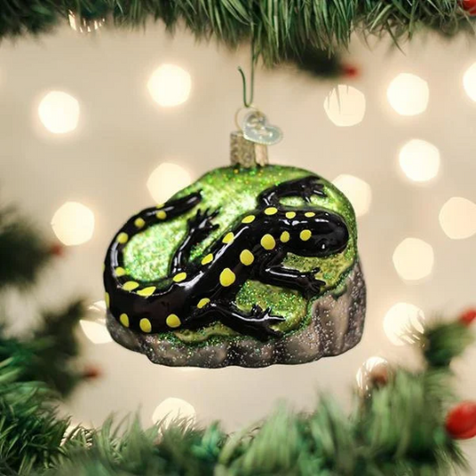 Salamander - Blown Glass Hand Painted Tree Ornament by Old World Christmas - RETIRED
