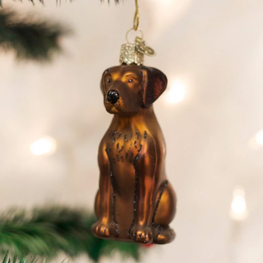 Chocolate Labrador Retriever Blown Glass Tree Ornament by Old World Christmas™