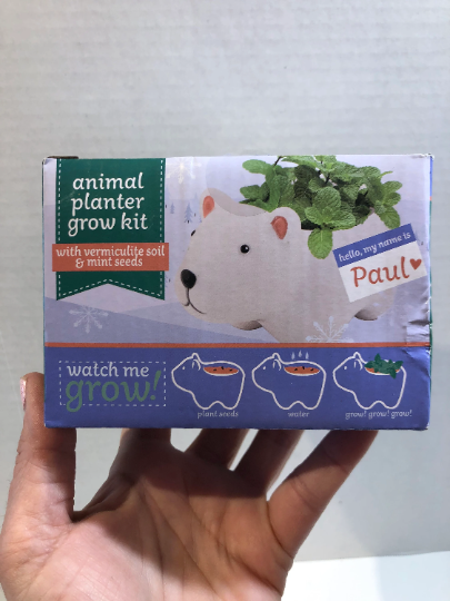 Polar Bear Ceramic Succulent Planter