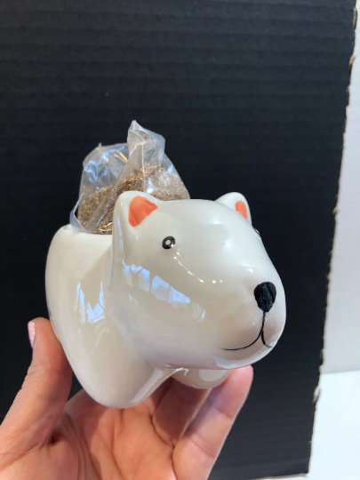 Polar Bear Ceramic Succulent Planter