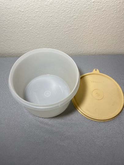 Vintage Tupperware Tall Slim and Short Wide Containers with Lids