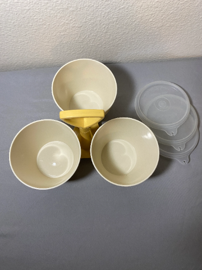Vintage Tupperware Condiment Set