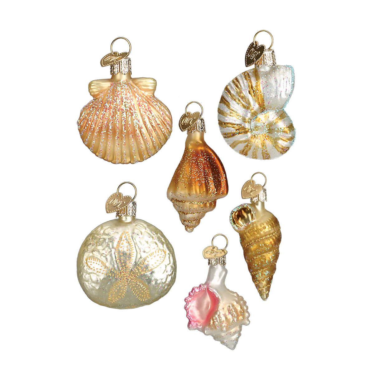 Old World Christmas Seashell Tree Ornament Set of 6 including Mexican Conch, Golden Seashell, Mitchell's Wentletrap Shell, Nautilus, and Sand Dollar