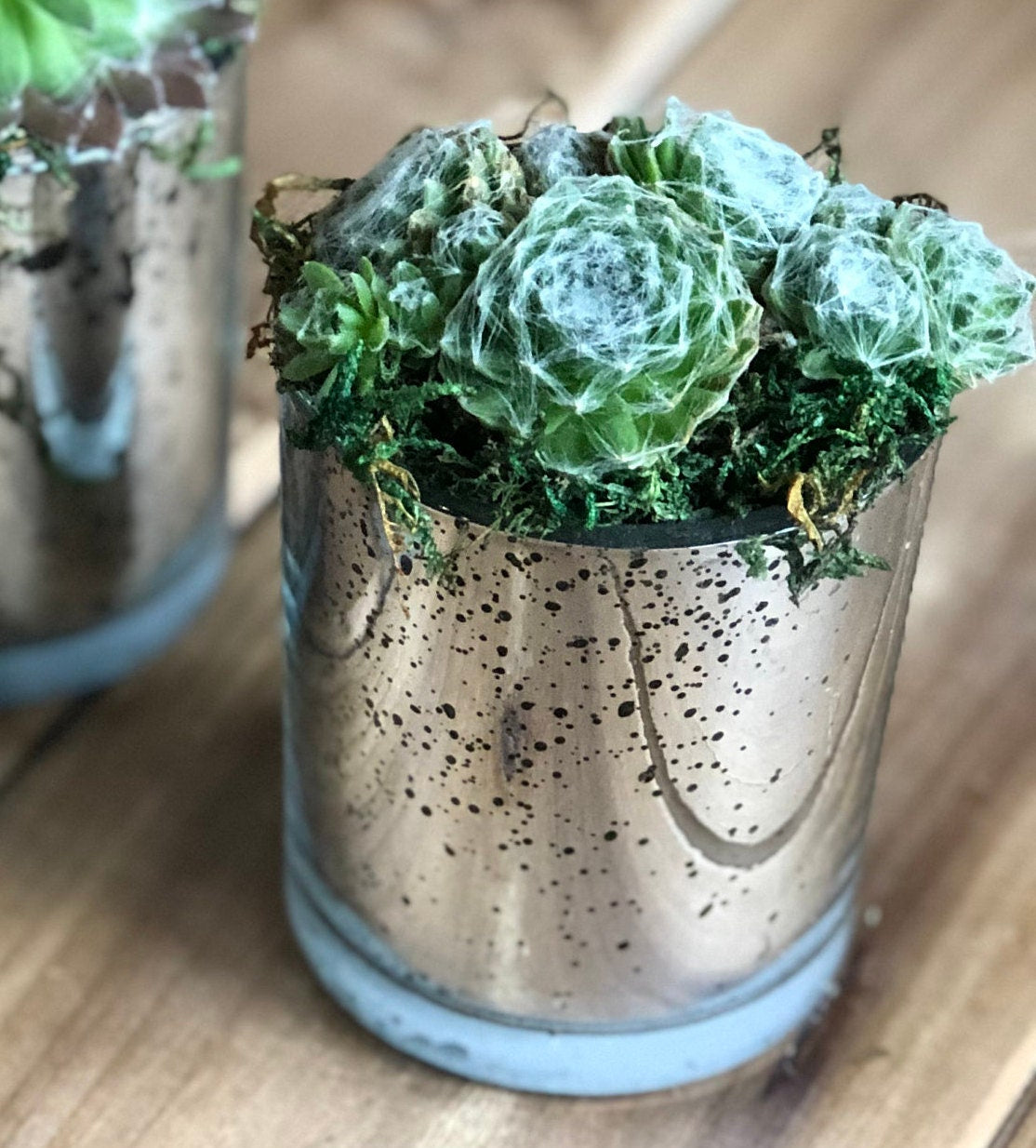 These cute mercury glass planters that look like tarnished silver make cute table decor and party favors that your guests can take home and plant.