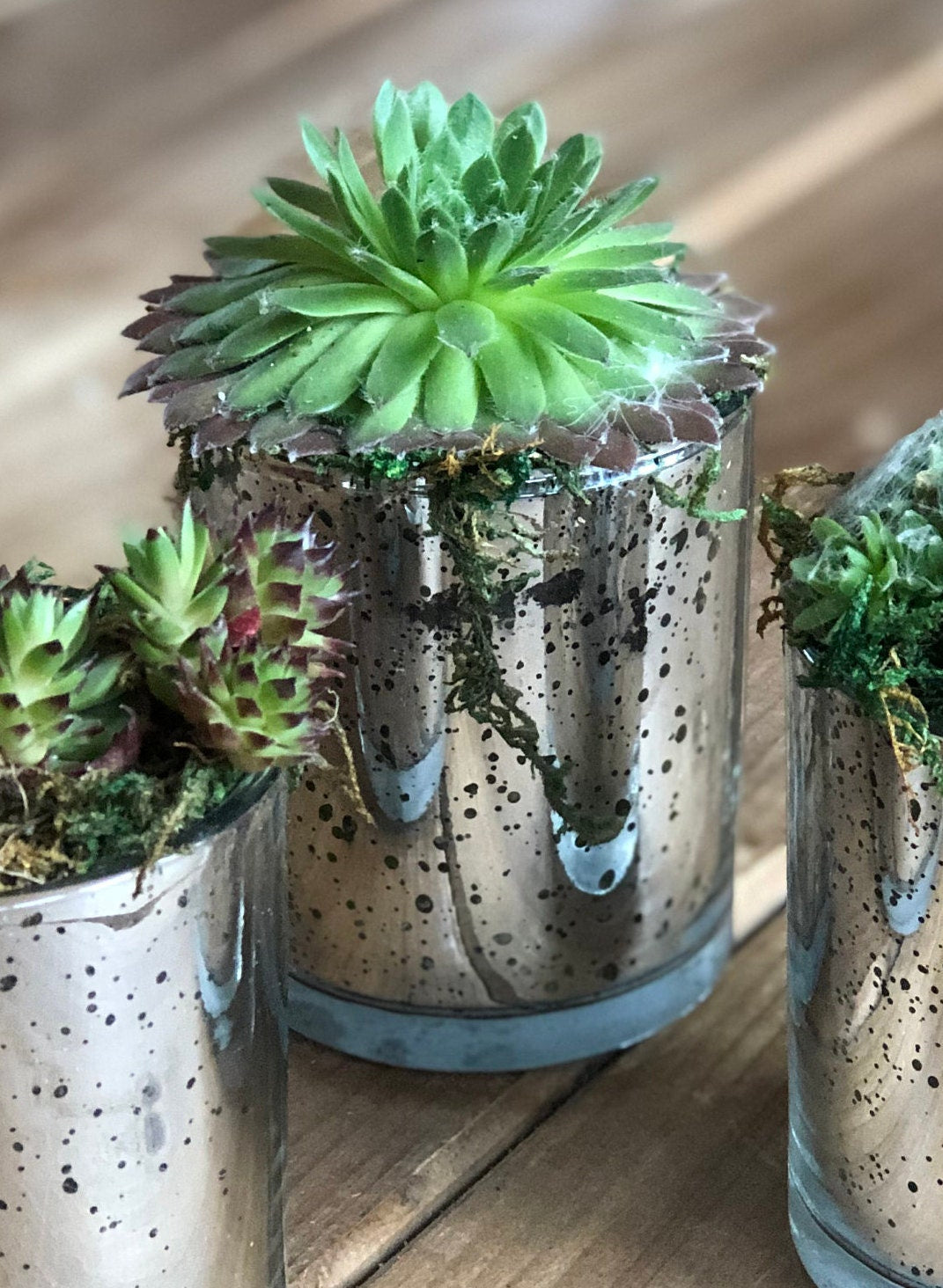 These plastic pots are about the size of a shot glass and each one cradles a baby succulent. Place these on tables as party favors for your guests.