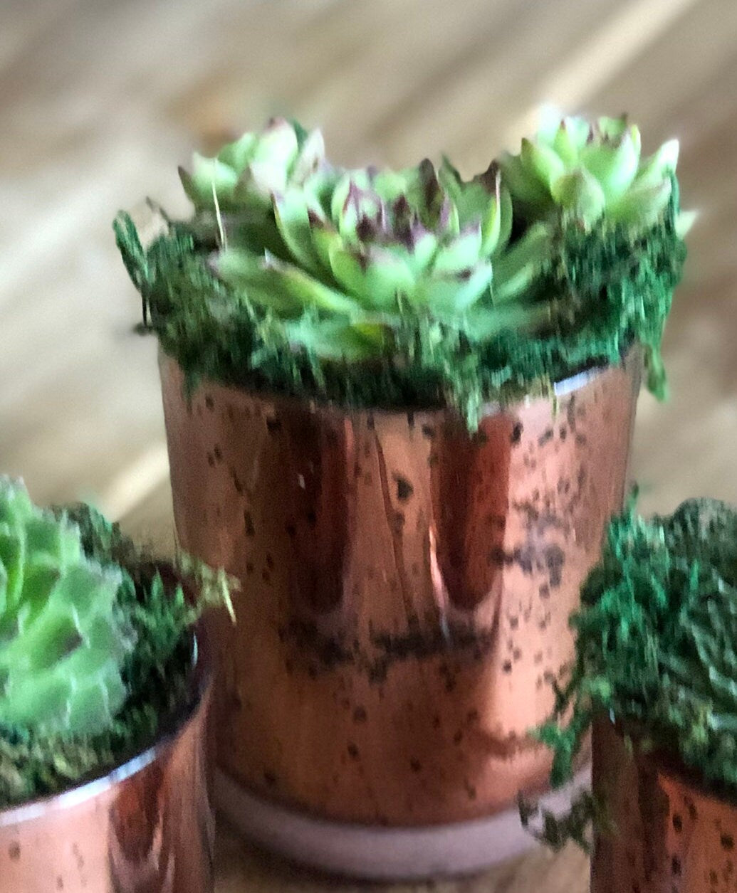 Rose Gold Mercury Glass Succulent Planter Arrangement Wedding Shower Favor Table Scape Decor Birthday Party Teacher Gift Gift for Her