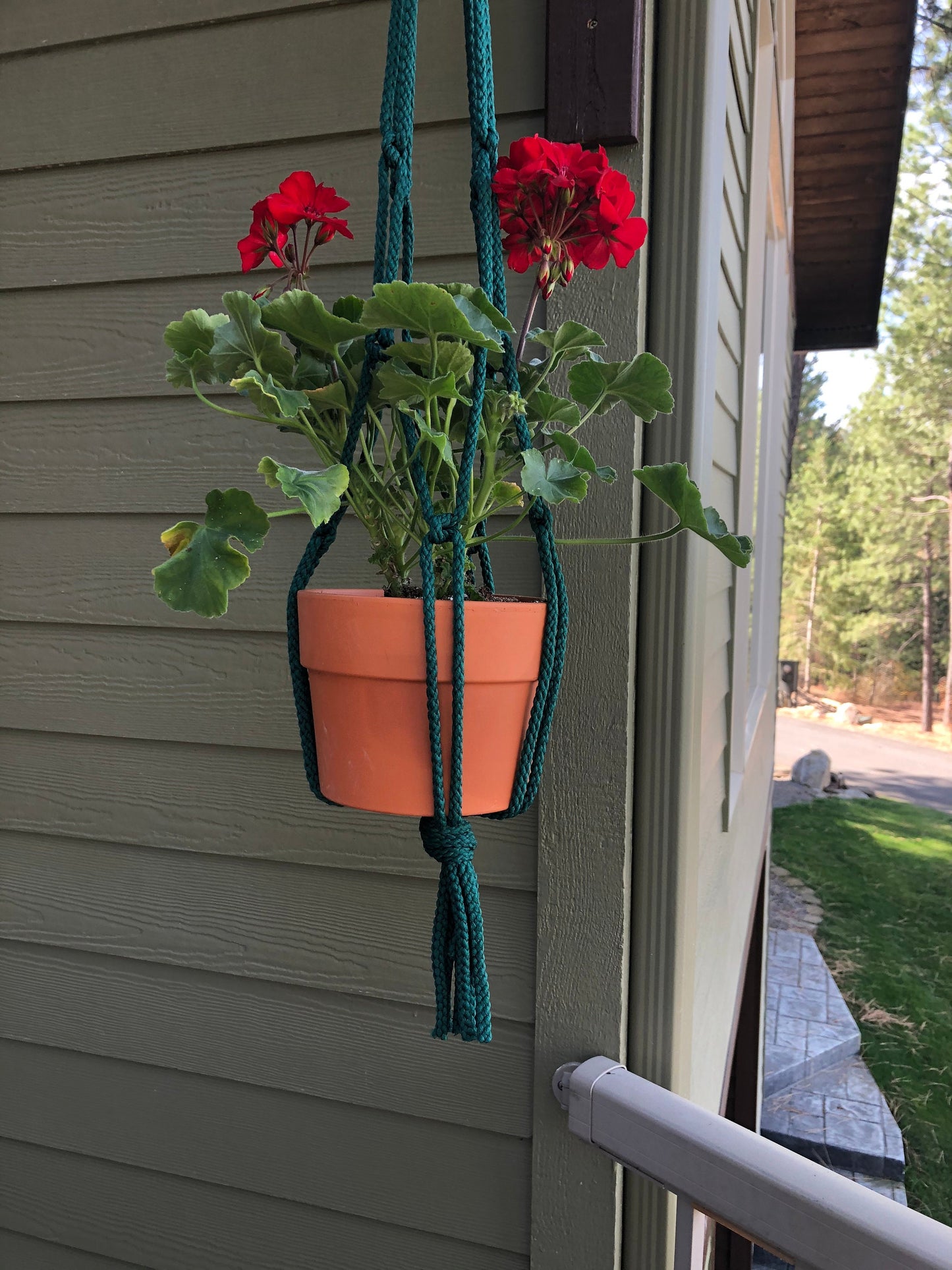 Macrame Plant Hanger in Dark Green, Light Brown, Dark Brown, Green, White, Rust, Dark Blue, Black, Free Shipping