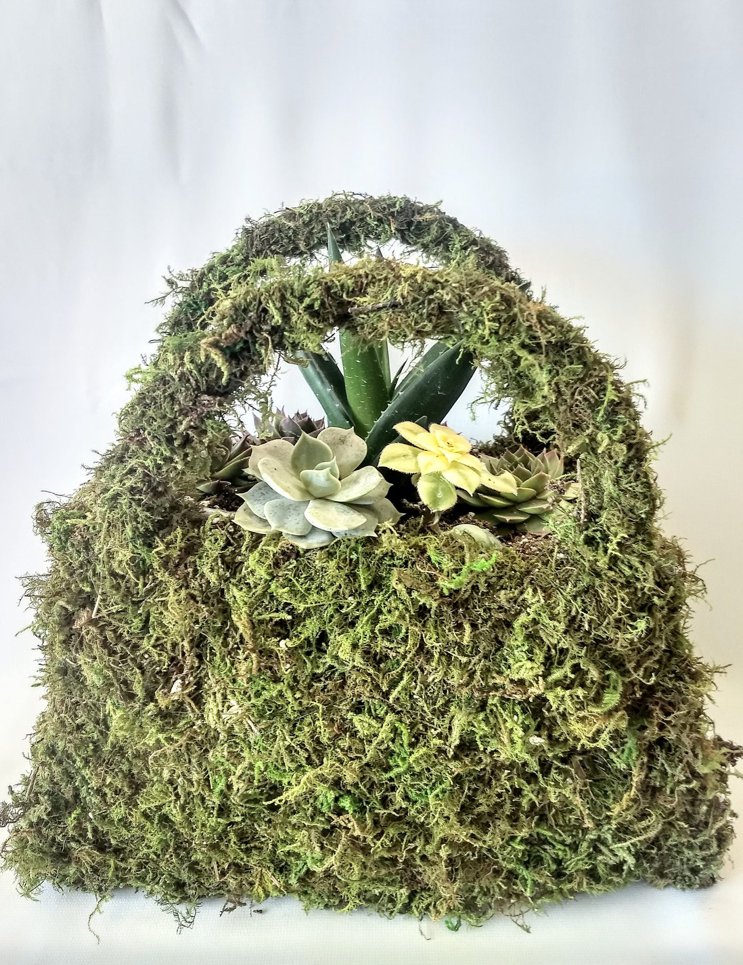 Moss Purse Succulent Planter