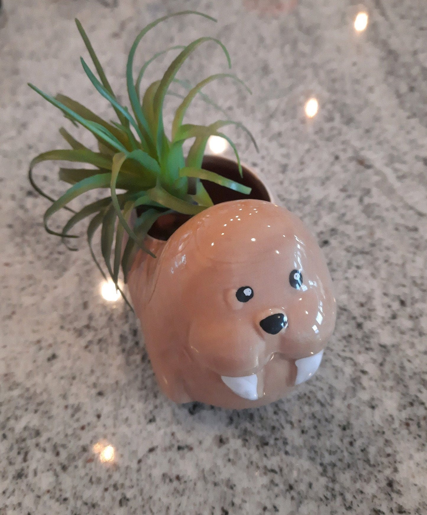 Walrus Ceramic Planter