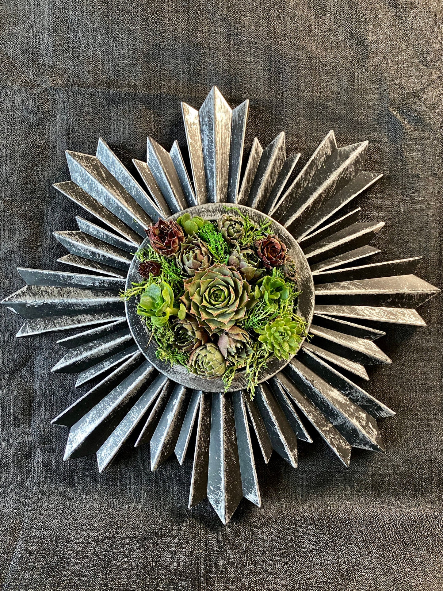 Live Succulent Brushed Silver Spiked Vertical Gardening Frame