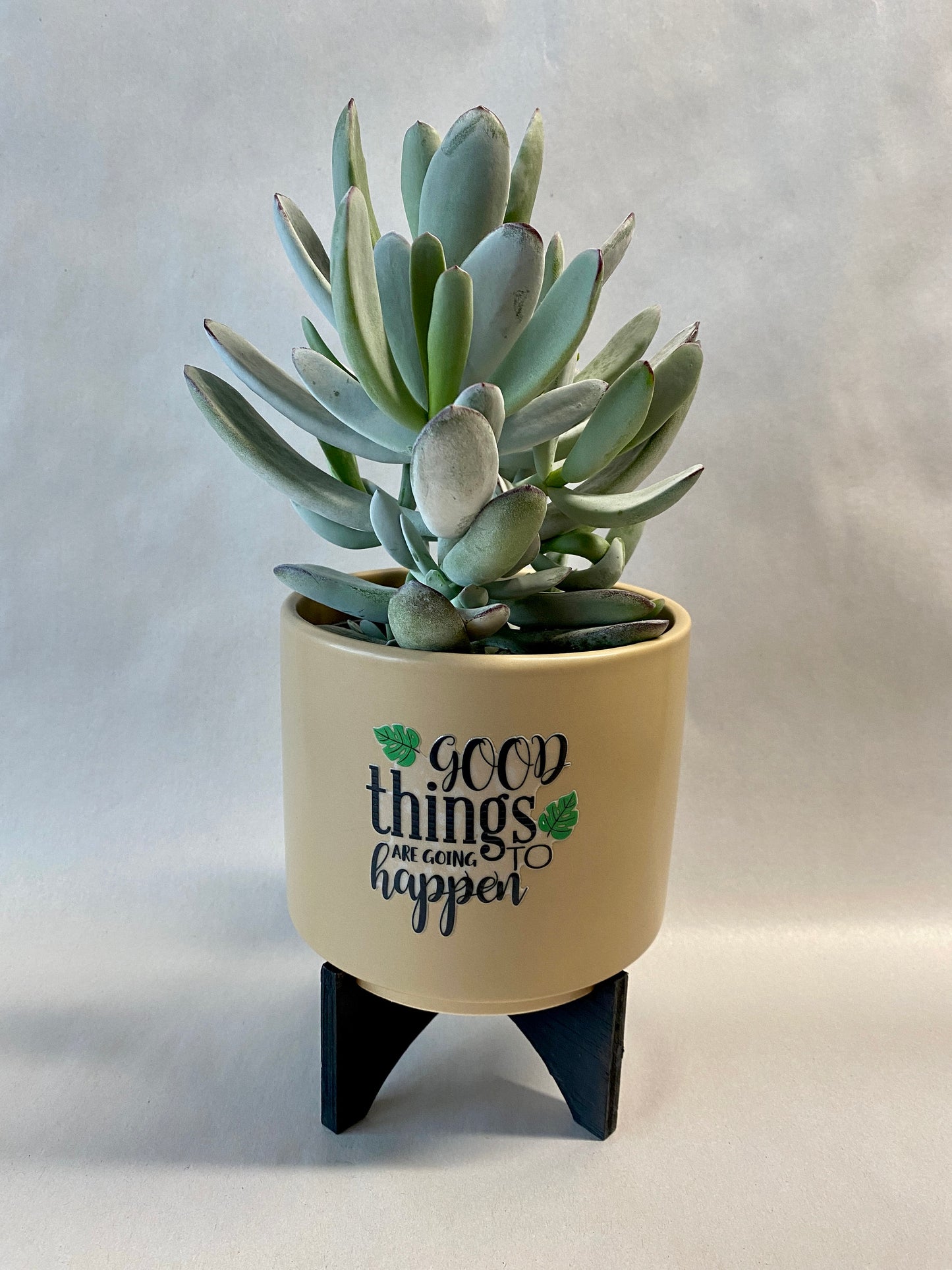 Encouraging quote Planter Plant Decor