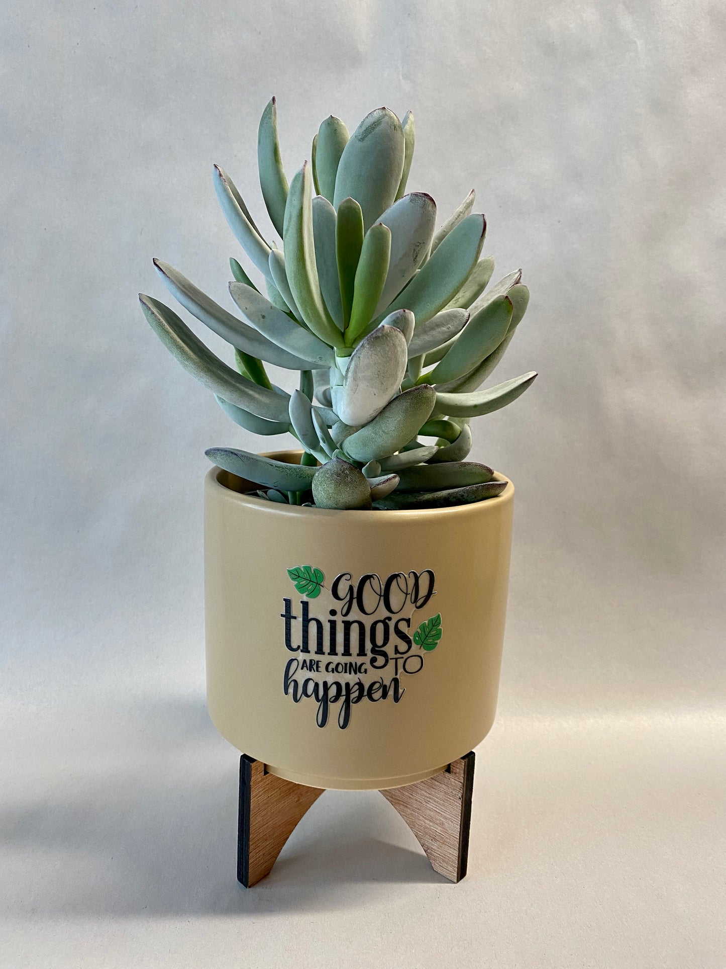 Encouraging quote Planter Plant Decor
