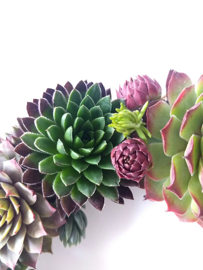 This wreath is bursting with color with different shades of green, pink, rose, lavender and purple.