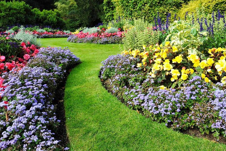Mass Planting