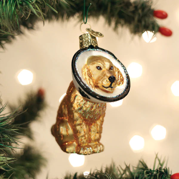 Cone Of Shame for Dog Back from Veterinarian Old World Christmas Ornament