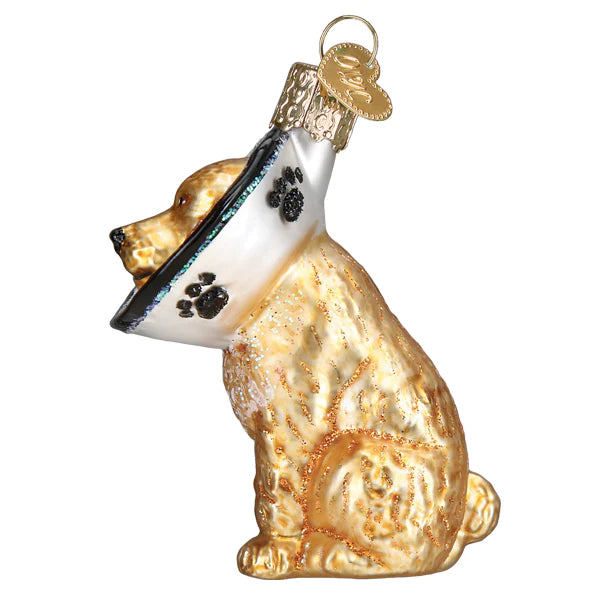 Cone Of Shame for Dog Back from Veterinarian Old World Christmas Ornament