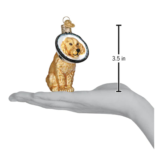 Cone Of Shame for Dog Veterinarian Trip Blown Glass Tree Ornament by Old World Christmas