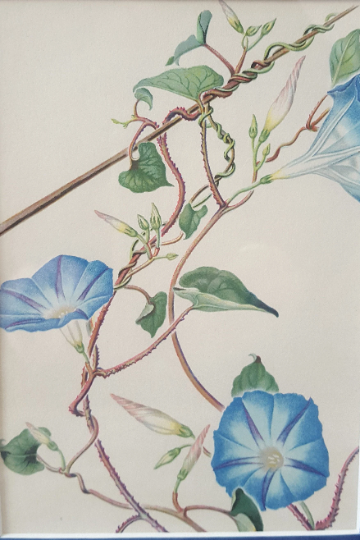 1920's Vintage Framed Easter Postcard