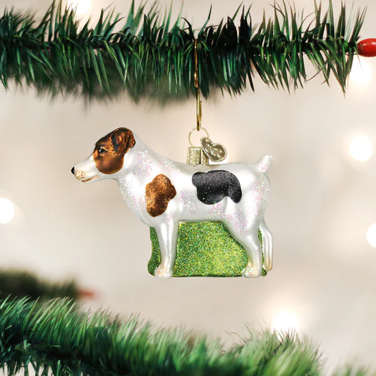 Jack Russell Terrier Old World Christmas Ornament