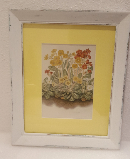 Vintage Primrose Print Framed Floral Decor
