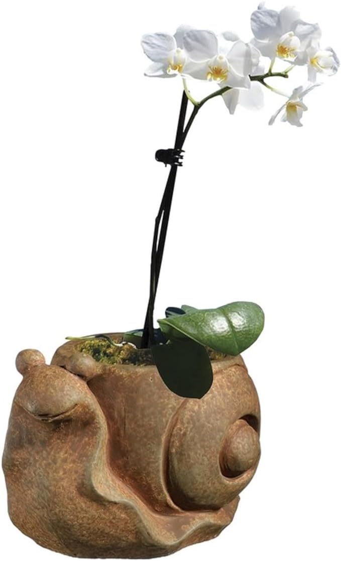 Small Snail Planter - Rust