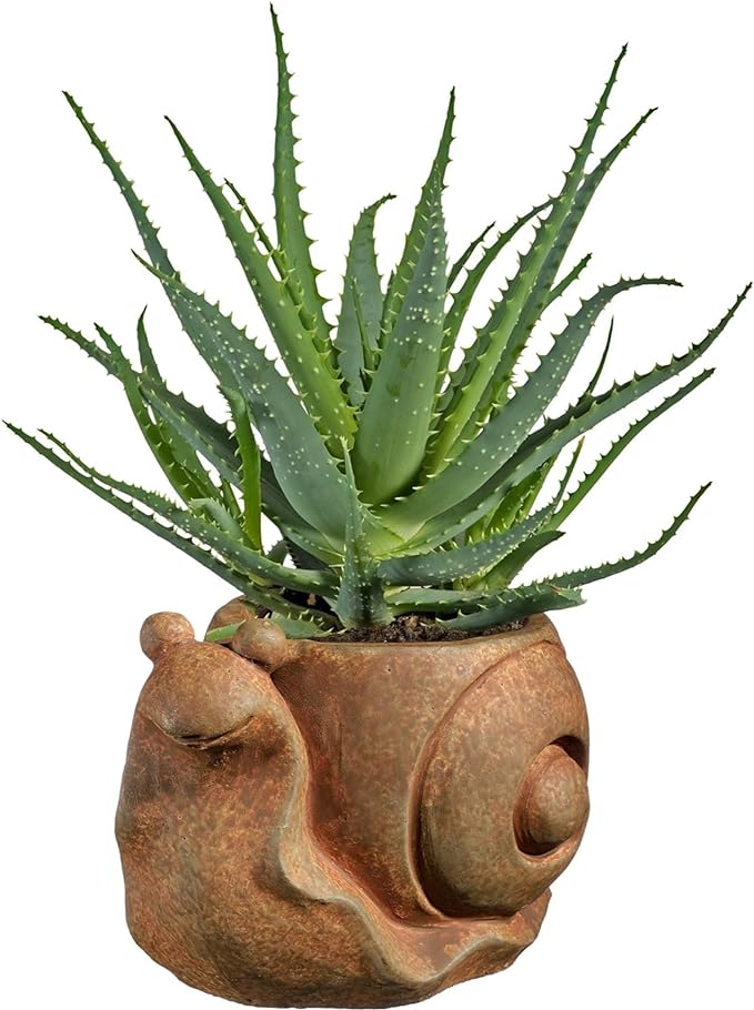 Small Snail Planter - Rust