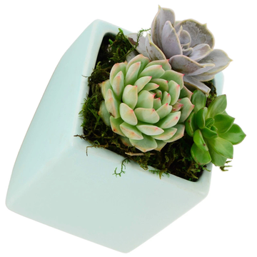 Cube Wall Planter - Mint Green - New in Box - Arcadia Garden Products 6" tall cube