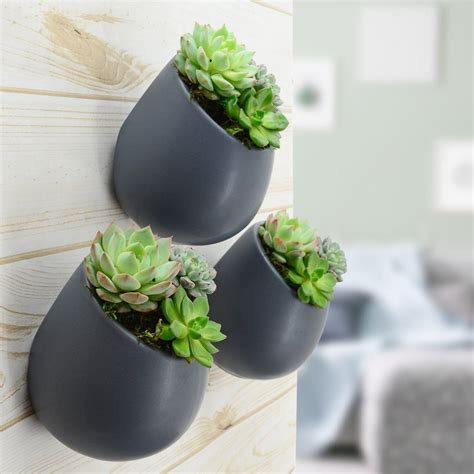 Black Large Round Wall Planter - Vertical Gardening by Arcadia 6.2" tall